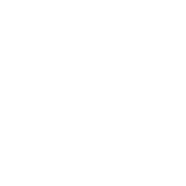 LODES